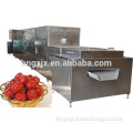 Hot Sale High Quality Tunnel Date Microwave Dryer with CE